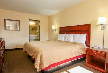 Deluxe Room, 1 King Bed, Non Smoking, Refrigerator & Microwave