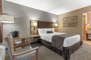 Standard Room, 1 Queen Bed, Non Smoking, Refrigerator