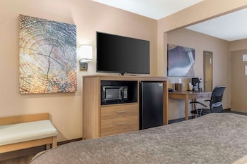 Executive Suite, 1 King Bed, Non Smoking (with Sofabed)