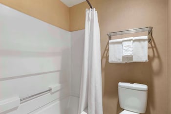 Suite, 1 King Bed, Non Smoking, Jetted Tub (with Sofabed)