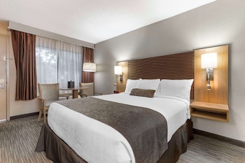 Suite, 1 King Bed, Non Smoking, Jetted Tub (with Sofabed)