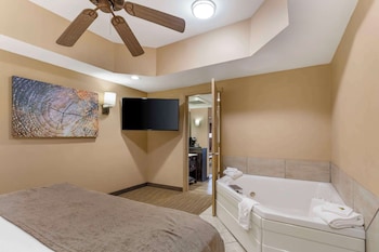 Suite, 1 King Bed, Non Smoking, Jetted Tub (with Sofabed)