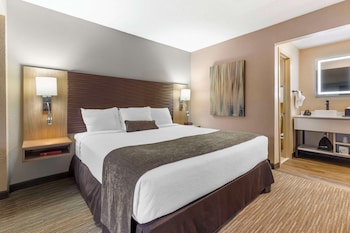 Suite, 1 King Bed, Non Smoking (Larger Room;with Sofabed)