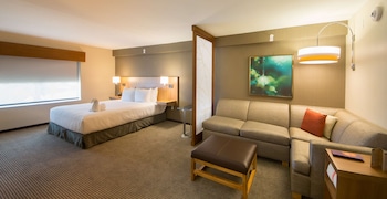 Room, 1 King Bed with Sofa bed (High Floor)
