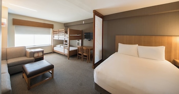 Family Room, 1 King Bed with Sofa bed