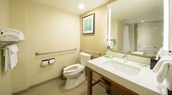 Room, 1 King Bed with Sofa bed, Accessible, Bathtub