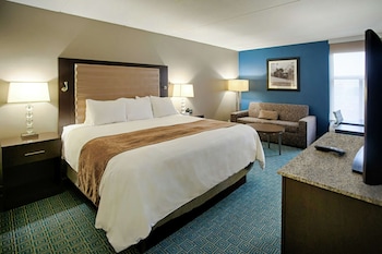 Room, 1 King Bed with Sofa bed