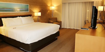 Standard Room, 1 King Bed, Accessible (Mobility Roll-In Shower)