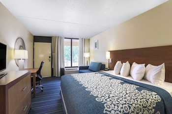 Room, 1 King Bed, Non Smoking