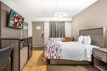 Deluxe Room, 1 Double Bed, Accessible (Roll-In Shower, Smoke Free)
