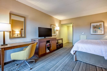 1 King Bed w/Sofabed and Accessible Bathtub
