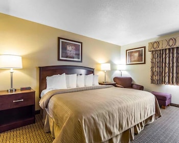 Room, 1 Queen Bed, Accessible, Non Smoking (Pet Friendly)