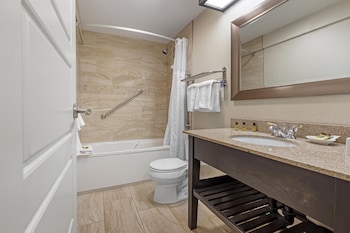 Standard Room, 1 King Bed, Non Smoking, Jetted Tub (with Sofabed)