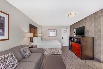 Standard Room, 1 Queen Bed, Refrigerator, River View