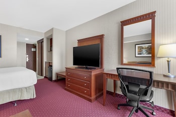 Standard Room, 1 Queen Bed, Non Smoking, Refrigerator & Microwave (with Sofabed)