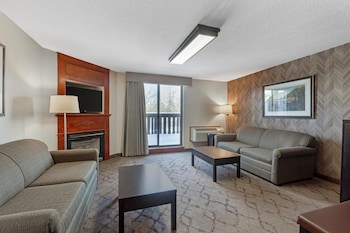 Standard Room, 1 King Bed, Non Smoking, Jetted Tub (with Sofabed)