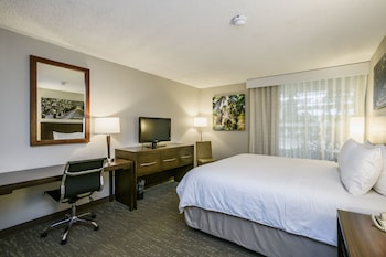 Room, 1 King Bed, Non Smoking