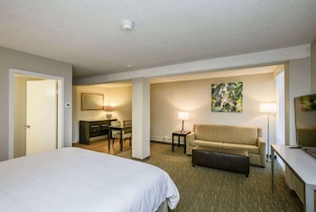 Junior Studio Suite, 1 King Bed, Non Smoking