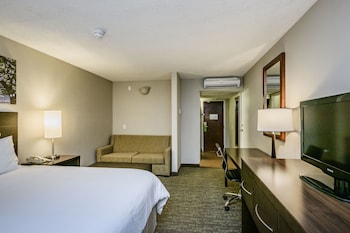 Deluxe Room, 1 King with Sofa Bed, Non Smoking