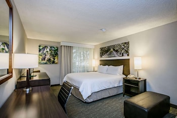 Junior Studio Suite, 1 King Bed, Non Smoking