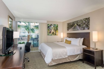 Room, 1 King Bed, Non Smoking