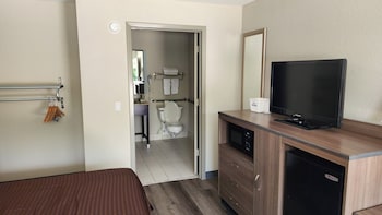 Room, 1 King Bed, Mobility Accessible, Non Smoking (Roll-in Shower)
