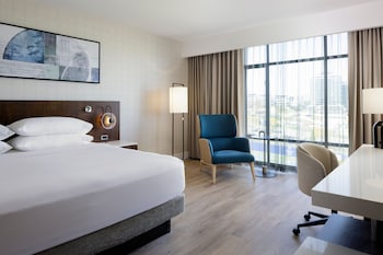 Room, 1 King Bed