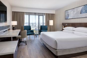 Room, 1 King Bed