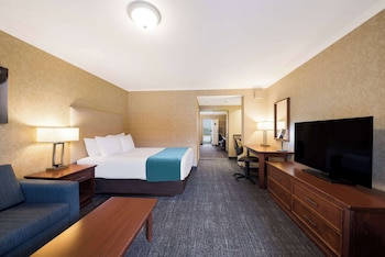 Standard Room, 1 Queen Bed, Non Smoking, Refrigerator & Microwave (with Sofabed)