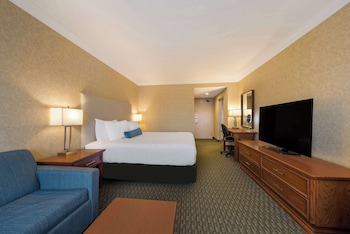 Standard Room, 1 King Bed, Non Smoking (with Sofabed)