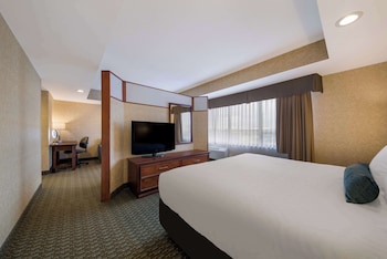 Suite, 1 King Bed, Non Smoking, Microwave (with Sofabed)