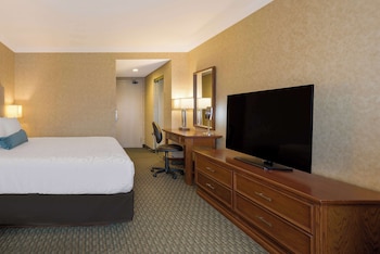 Standard Room, 1 King Bed, Non Smoking (with Sofabed)