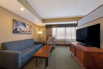 Suite, 1 King Bed, Non Smoking, Microwave (with Sofabed)