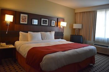 Room, 1 King Bed, Non Smoking