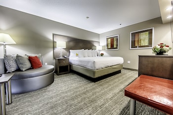 Standard Suite, 1 King Bed