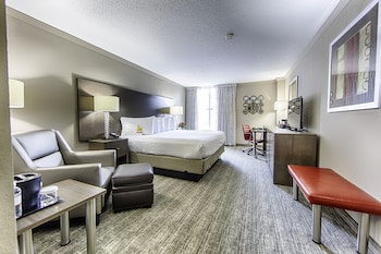 Standard Room, 1 King Bed