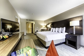 Standard Room, 1 King Bed