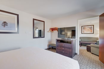 Suite, 1 Bedroom