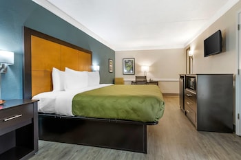 Room, 1 King Bed, Accessible, Non Smoking