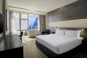 Room, 1 King Bed