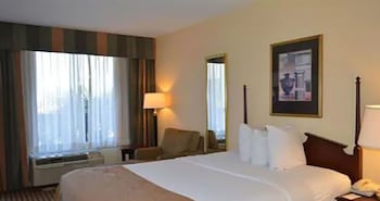 Room, 1 King Bed with Sofa bed, Accessible, Non Smoking