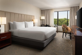 Room, 1 King Bed, Non Smoking