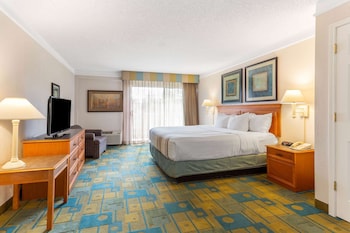 Suite, 1 King Bed, Non Smoking (Courtyard/Pool View)