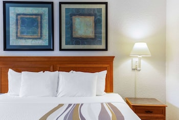 Suite, 1 King Bed, Non Smoking (Courtyard/Pool View)