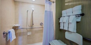 Standard Room, 1 King Bed, Accessible (Roll-In Shower)