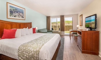 Room, 1 King Bed, Non Smoking (Dune View)
