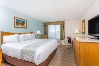 Room, 1 King Bed, Non Smoking, City View
