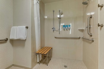 Room, 1 King Bed, Hearing Accessible, Terrace (Roll in Shower)