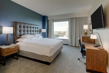 Suite, 1 King Bed with Sofa bed (Sofa Sleeper View, 2 Rooms)
