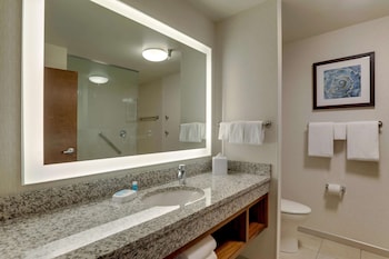 Suite, 1 King Bed with Sofa bed (Sofa Sleeper View, 2 Rooms)